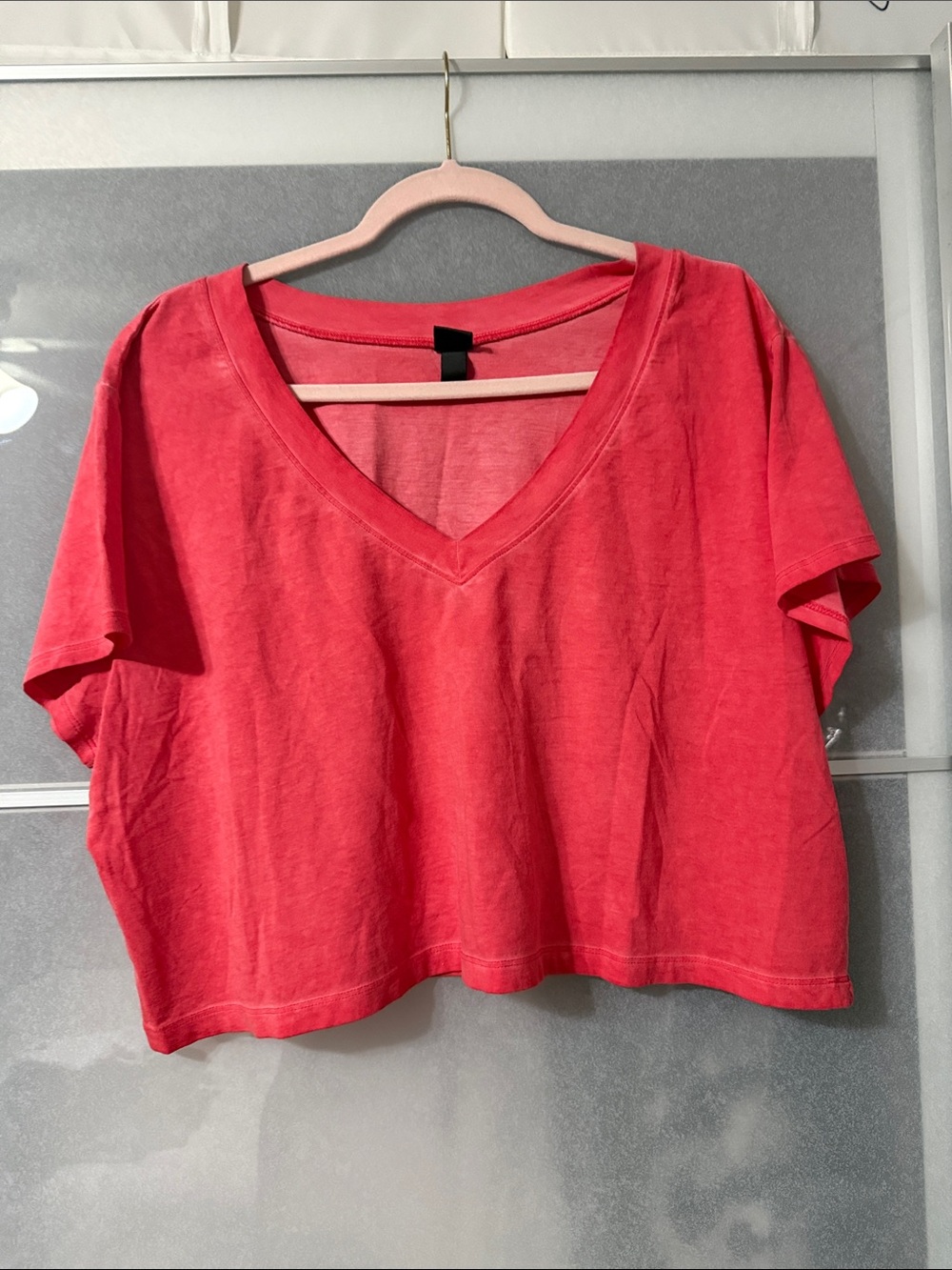 wild fable Coral V-Neck Crop Top